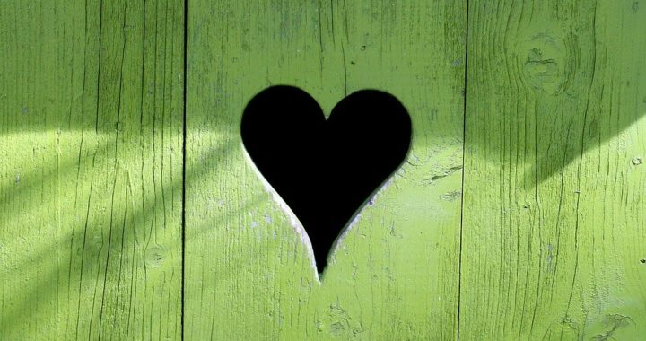 cut cut out into green fence